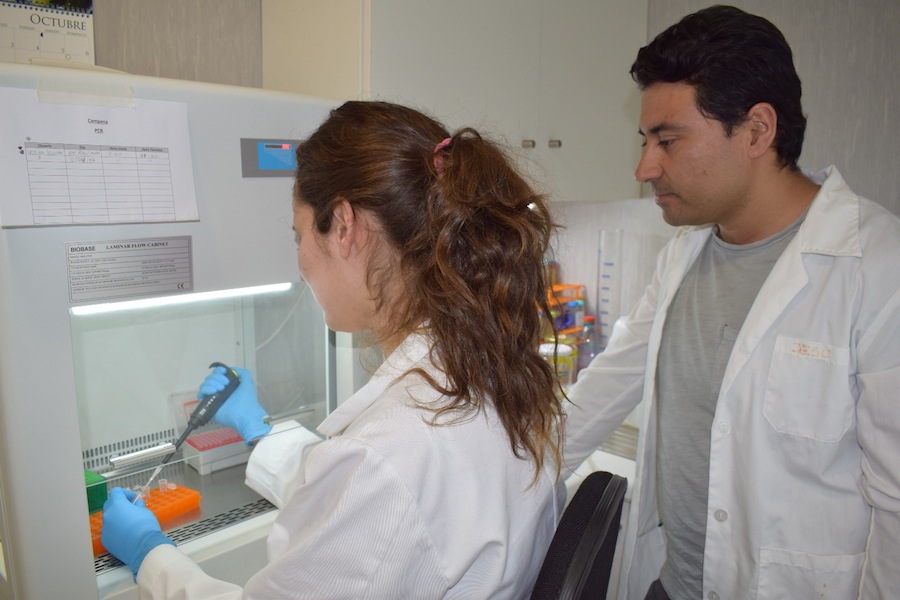 UPLA e IFOP vinculan investigación para el manejo de pesquerías en Chile