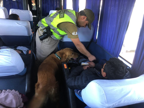 OS-7 de Carabineros saca de circulación más de 64 mil dosis de droga