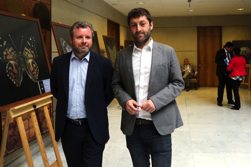 Diputados UDI y Voto Obligatorio: “Si la gente se siente lejana a la política, no puedes con sanciones obligarla a participar”