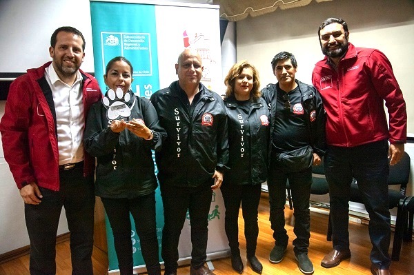 Tres organizaciones se adjudicaron $ 75 millones para tenencia responsable de mascotas