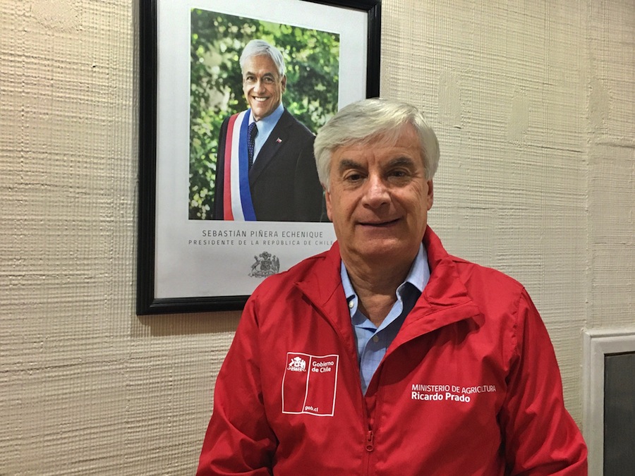 Contratación de pólizas de seguros silvoagropecuarios con subsidio estatal registra alza superior al 15% el año 2019