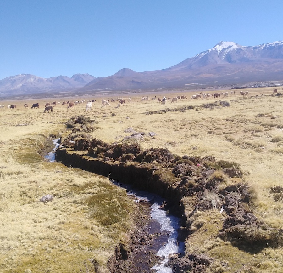 Comienza proceso de reconsideración para programa de recuperación de suelos en Tarapacá