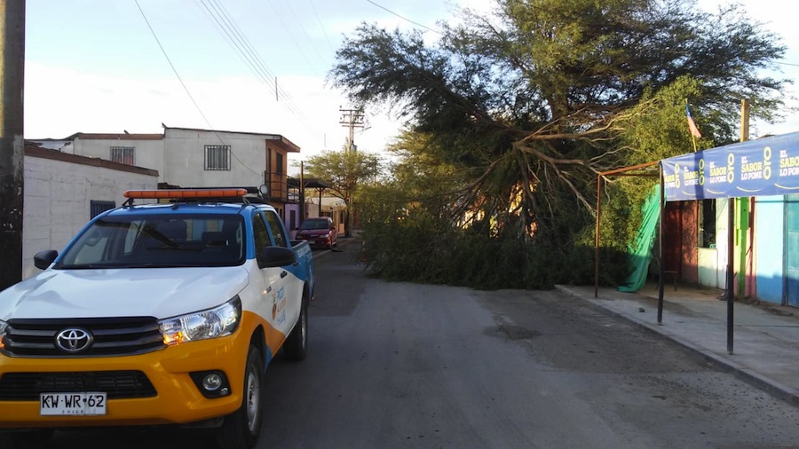 Retiran árbol y poste que interrumpían flujo vehicular en La Tirana