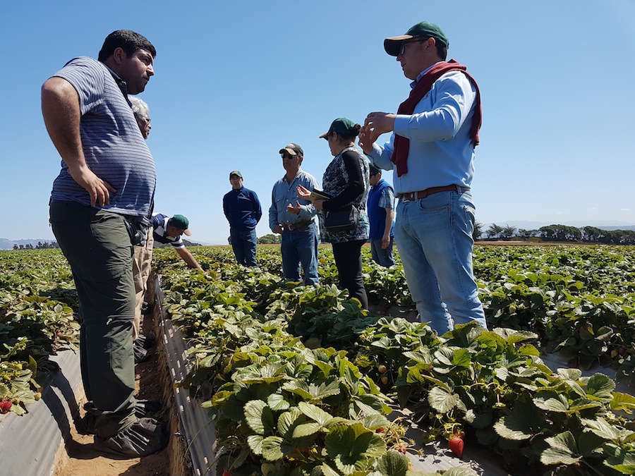 FIA abre convocatoria para experiencias que complementen los procesos de innovación en el Agro