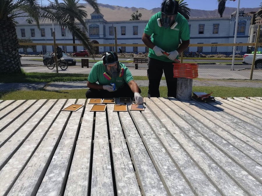 IMI ha realizado seis operativos de desratización de Cavancha durante 2020