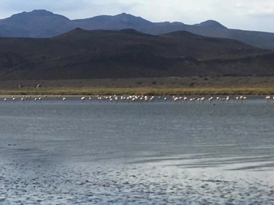 Seremi de Medio Ambiente realiza segunda reunión de la Mesa de Humedales