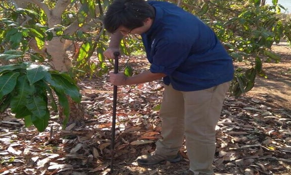 Riego automatizado made in Arica