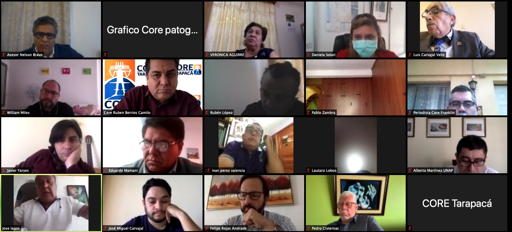 Declaración Pública del CORE Tarapacá respecto al caso luminarias led