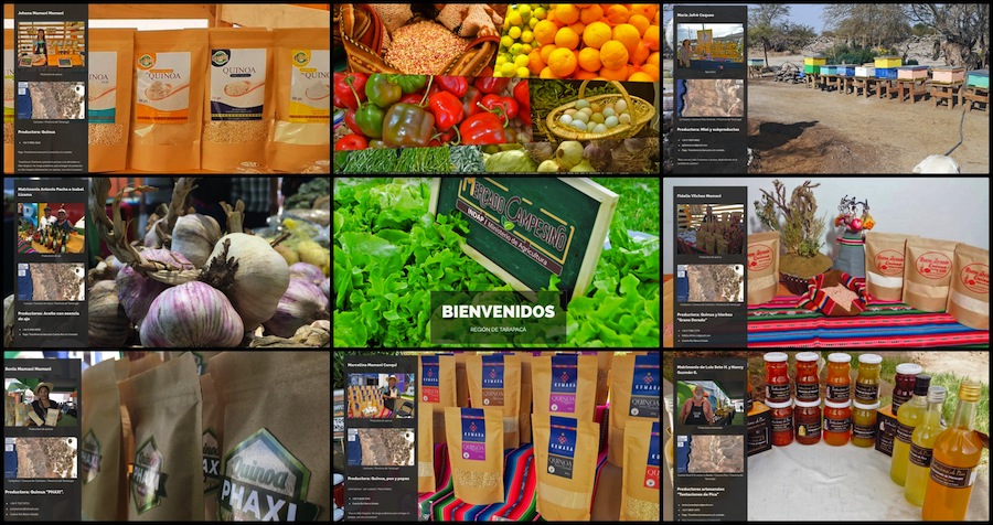 Mercado Campesino de INDAP ahora está en Internet