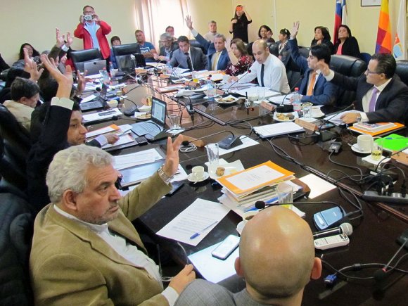 Declaración pública del Consejo Regional de Arica-Parinacota por tema Canastas Familiares
