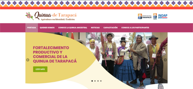 INDAP Tarapacá lanza sitio de internet de la quinua
