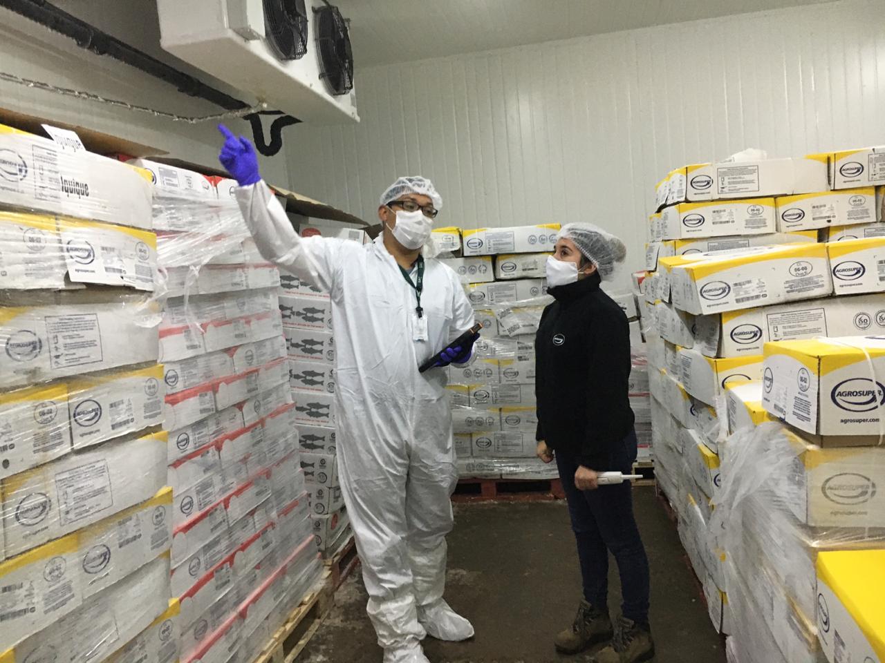 SAG Tarapacá reanuda fiscalización de Ley de la Carne para mantener cadena de abastecimiento