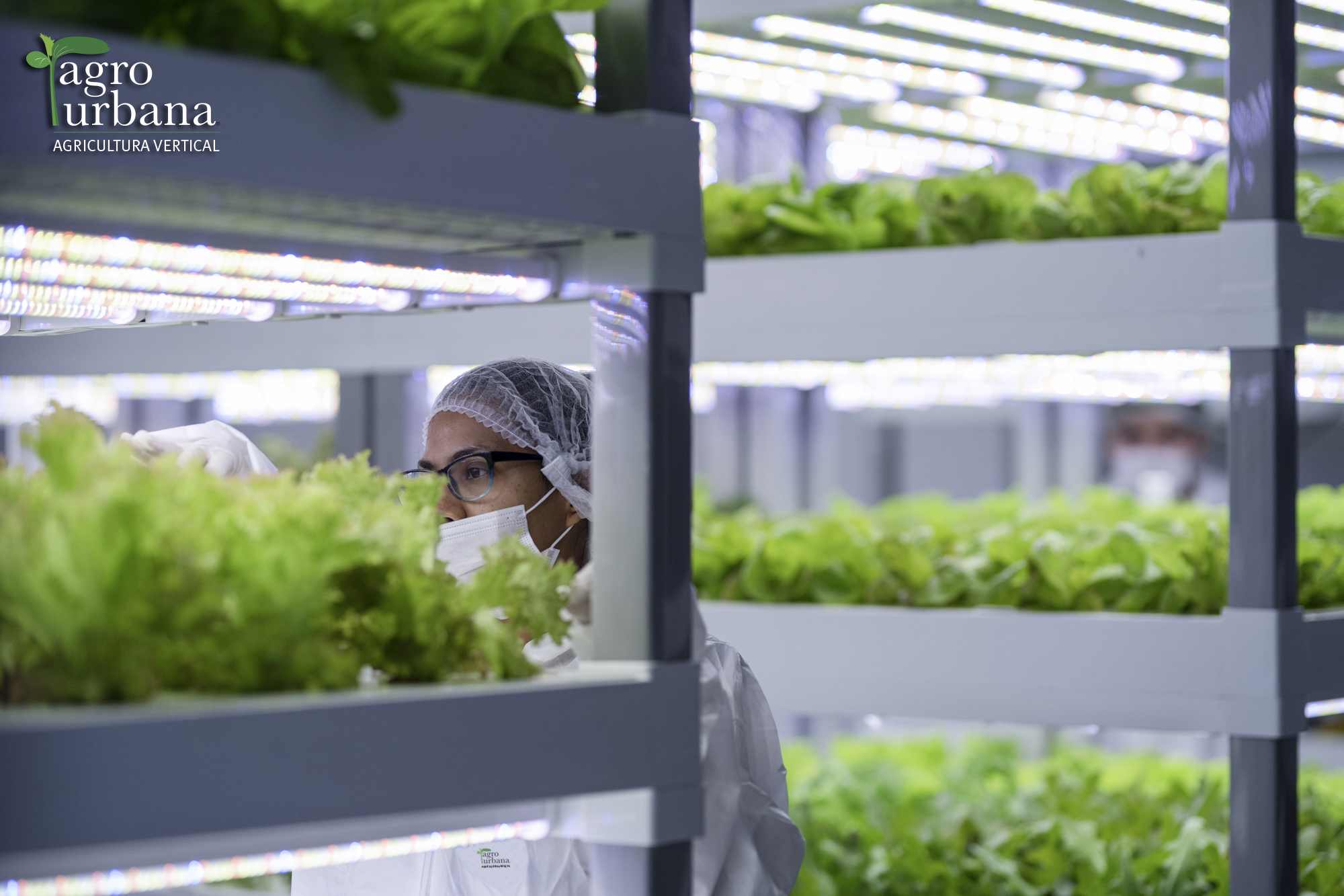 Corfo crea Crédito Verde para reimpulsar inversiones amigables con el planeta