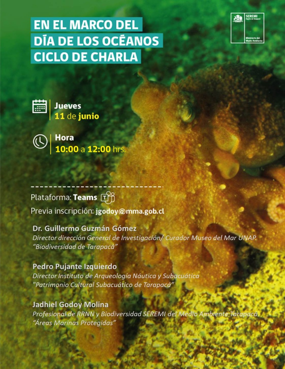 Pymes turísticas de Parinacota también requieren apoyo