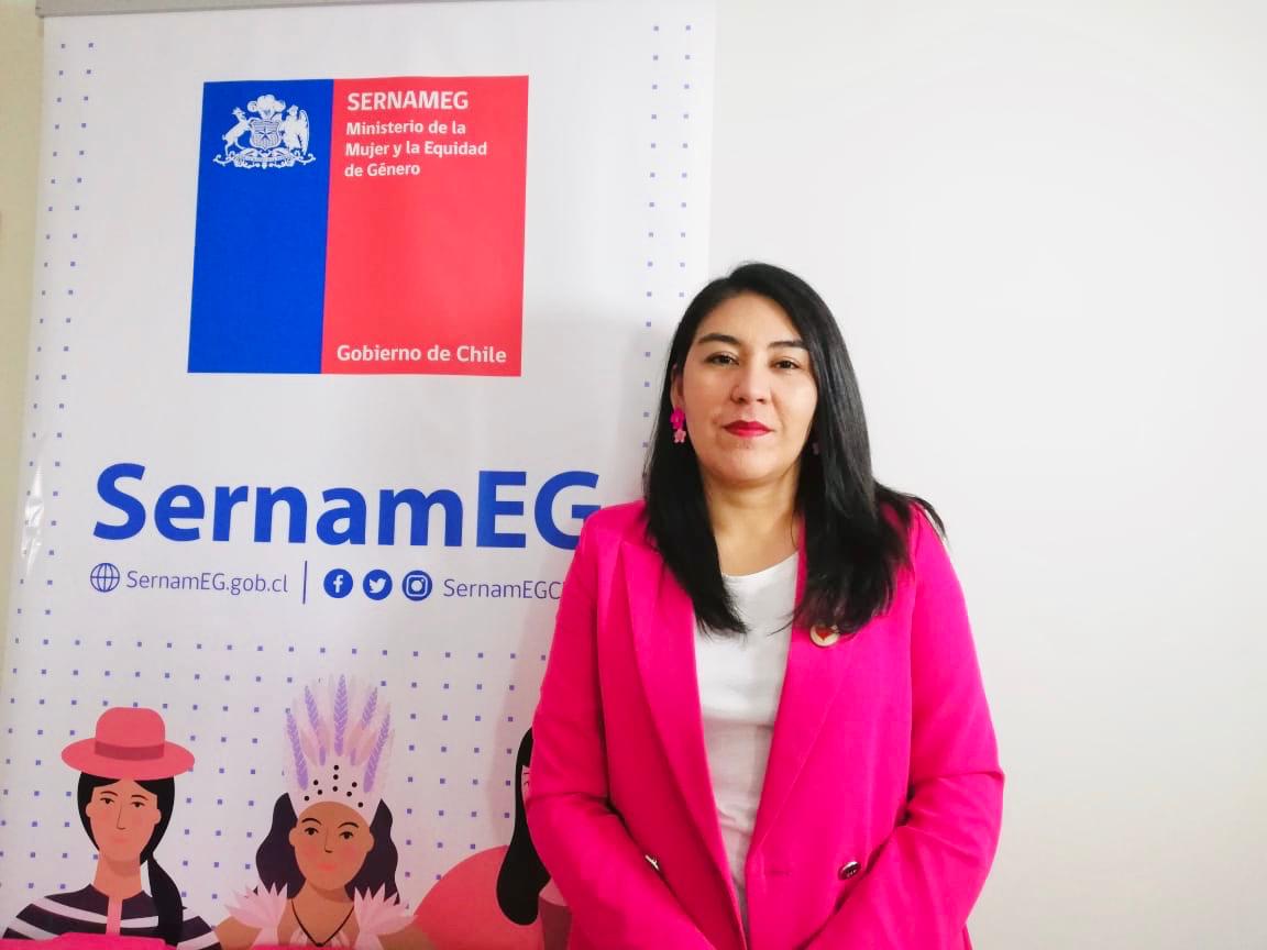 SernamEG Tarapacá abrió inscripción para charlas virtuales formación de monitores/as juveniles y de agentes preventivos