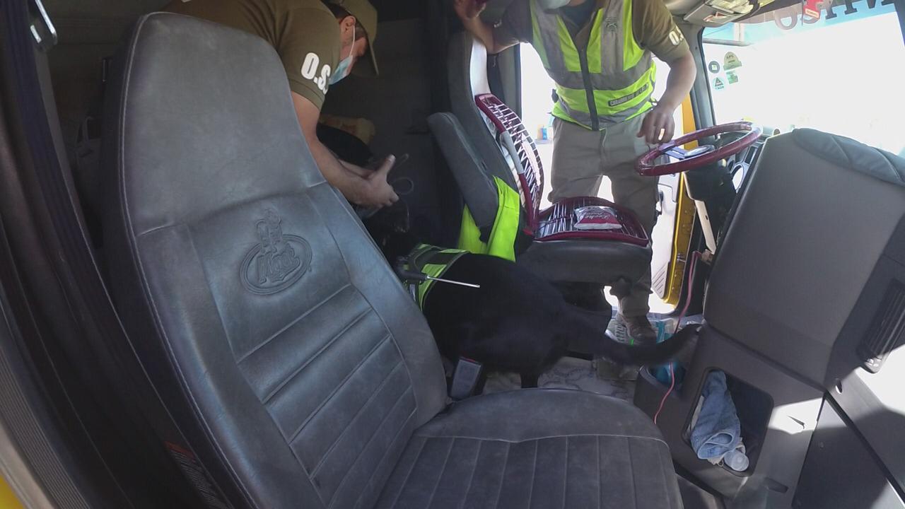 “Flama” detecta droga oculta en cajas de jugo en comuna de Huara