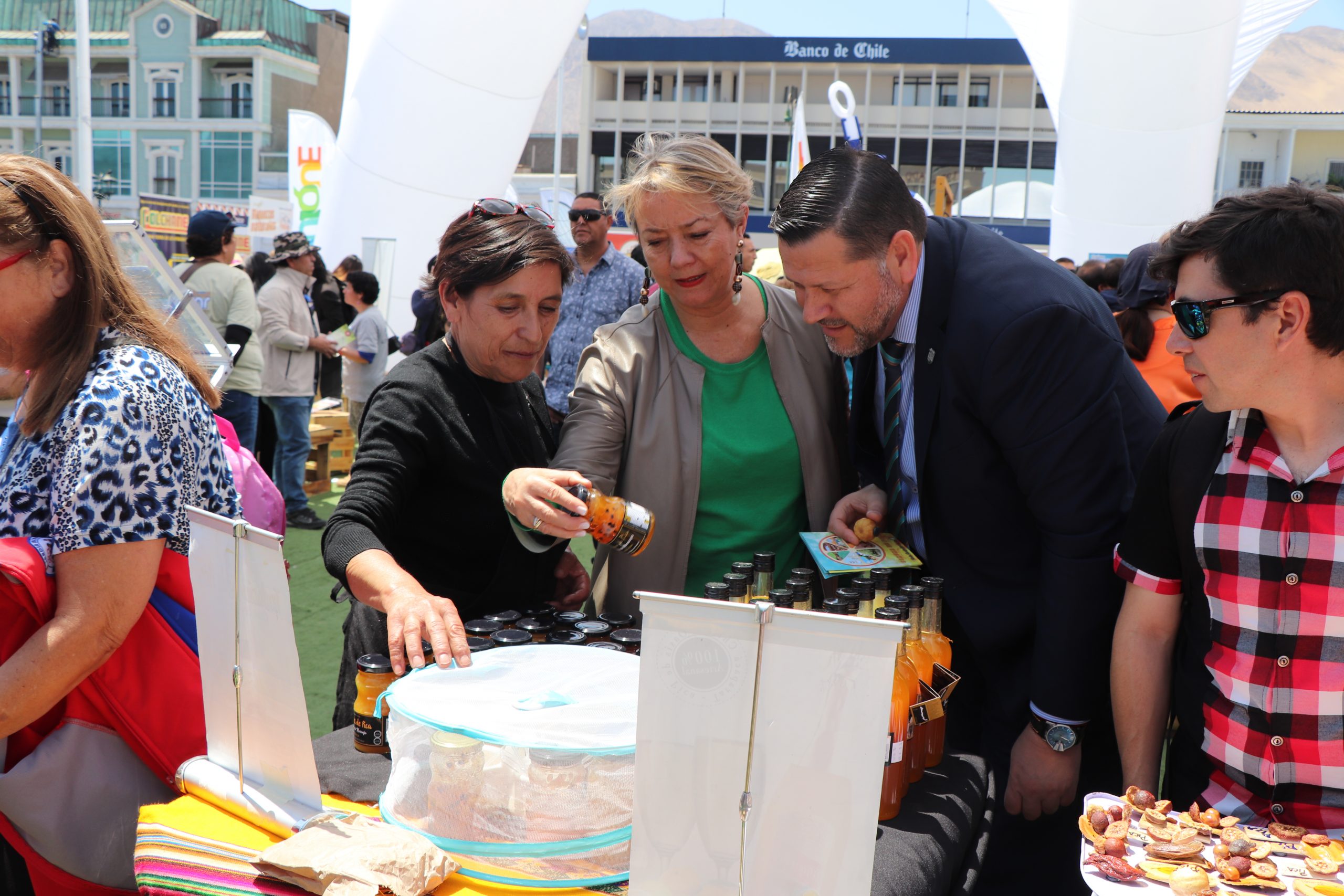 Plan de Protección para la Clase Media entregaría beneficios financieros, en vivienda y educación