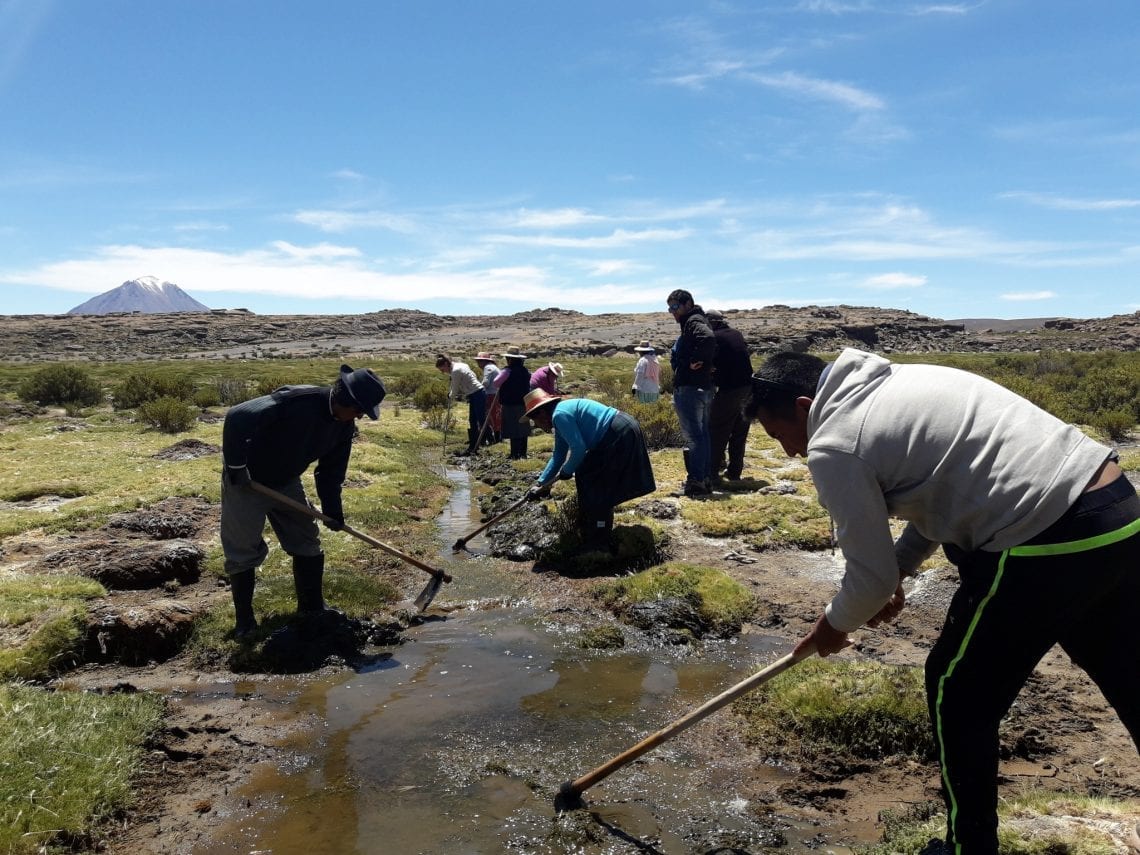 SAG entrega más de $100 millones  a agricultores de la región de Tarapacá