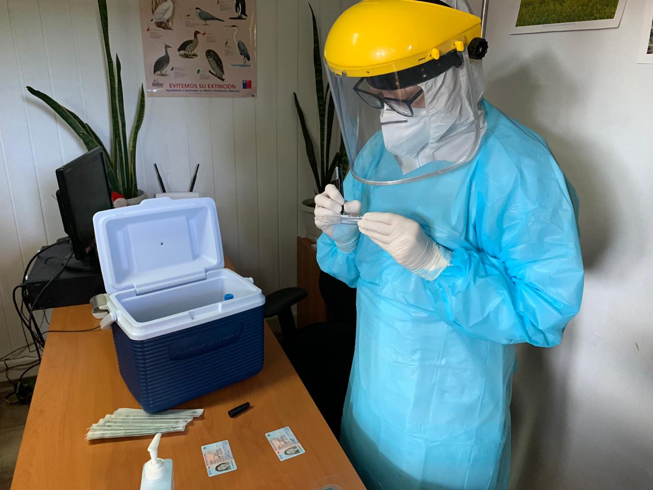 Funcionarios/as SAG del Tamarugal se realizan testeo PCR preventivo