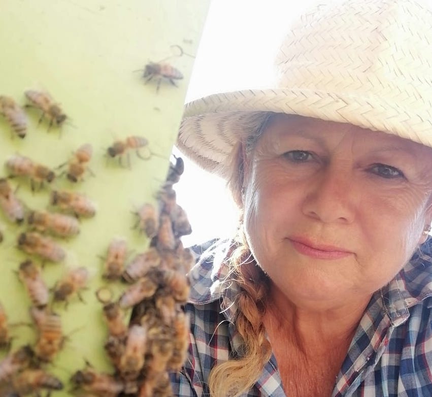 Polinizará el altiplano para producir miel premium