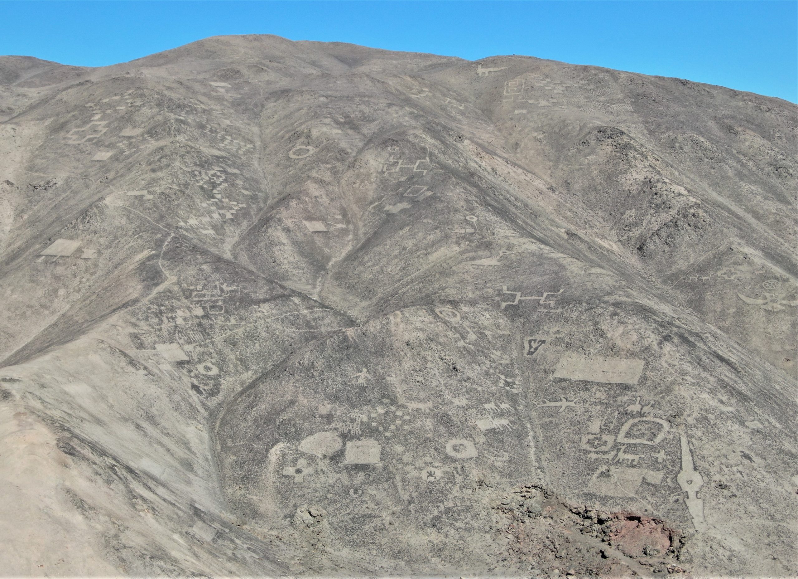 Universidad Católica del Norte se integra a directorio de Fundación Geoglifos de Tarapacá