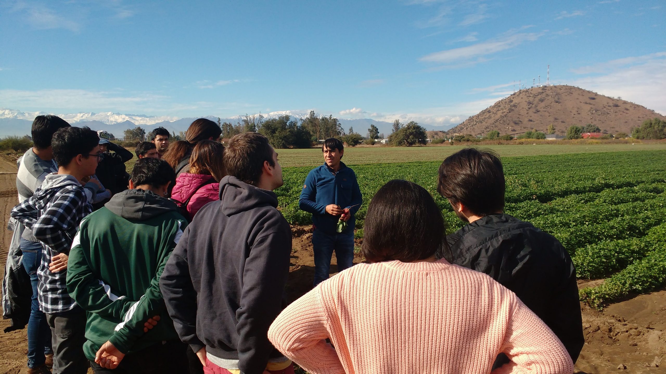 Volver al origen: la academia como actor activo para hacer frente a la agricultura del futuro