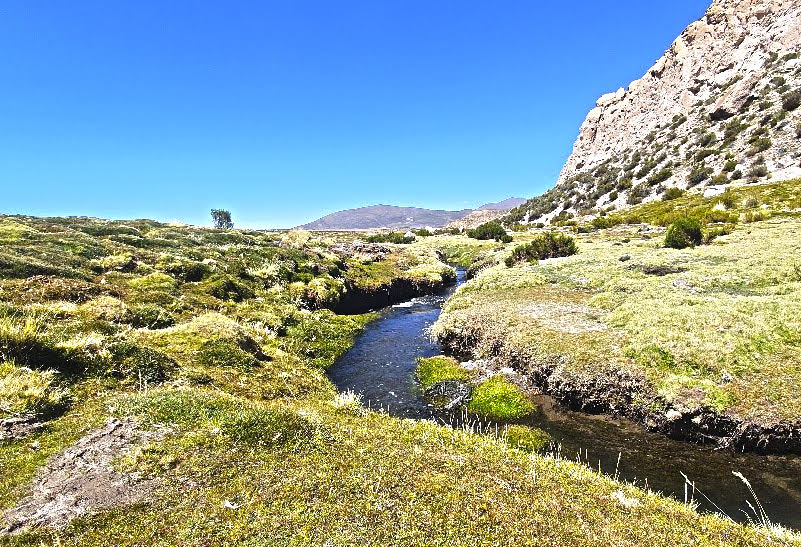 INDAP Tarapacá comienza proceso de labores anticipadas para recuperación de suelos
