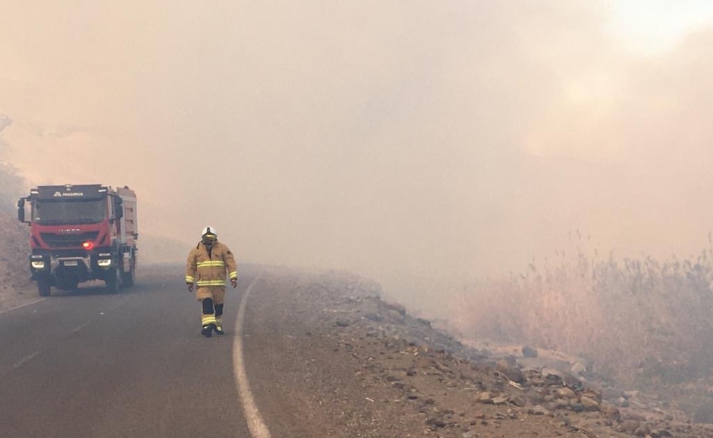 CONAF interpuso querella por incendio forestal de Quillaguasa