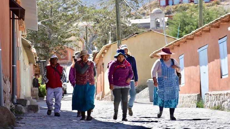 Presentan  borrador  del  Plan  Alto  Andino ante el Consejo Regional