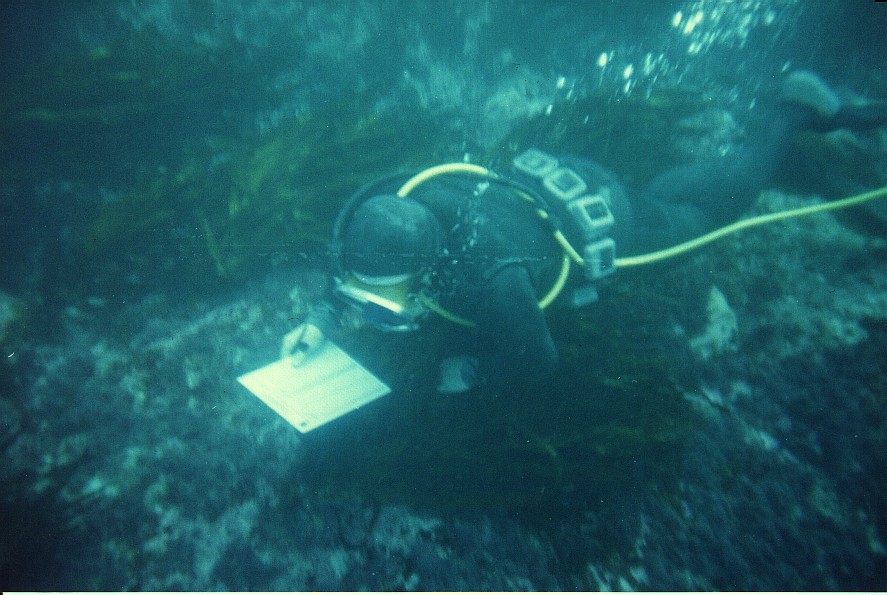 Proyecto IFOP Programa de Seguimiento Pesquerías Bajo Régimen de Áreas de Manejo, realizó taller de difusión