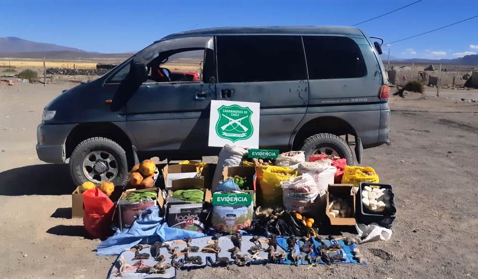 Detenidos por contrabando e ingreso ilegal al país