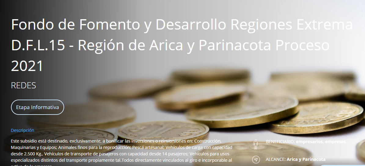 DFL-15: Ya están publicadas las Bases del Proceso 2021