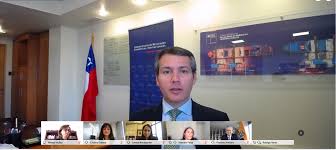 SUBREI participa en seminario OCDE sobre transformación y habilidades digitales para el desarrollo regional