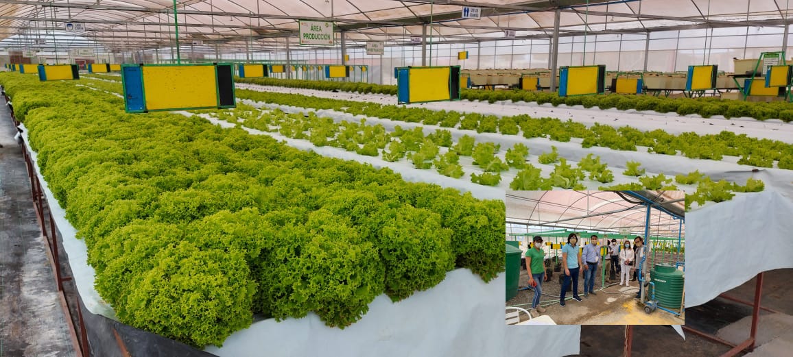 Cores visitaron proyecto de vivero hidropónico en La Tirana financiado con aportes FNDR