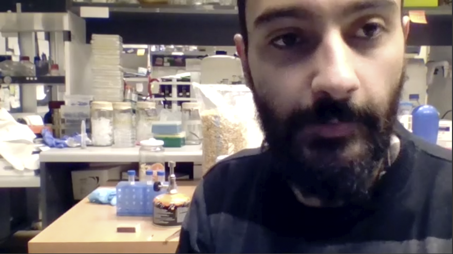 Con satisfacción culmina taller con jóvenes agricultores rurales de Indap