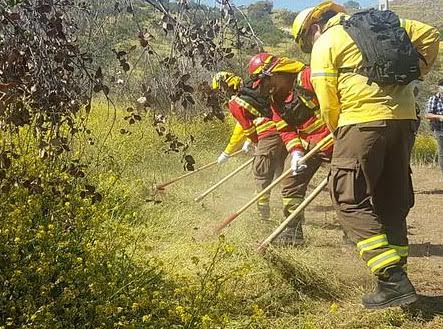 Se declara Alerta Amarilla en la comuna de Pozo Almonte por incendio forestal