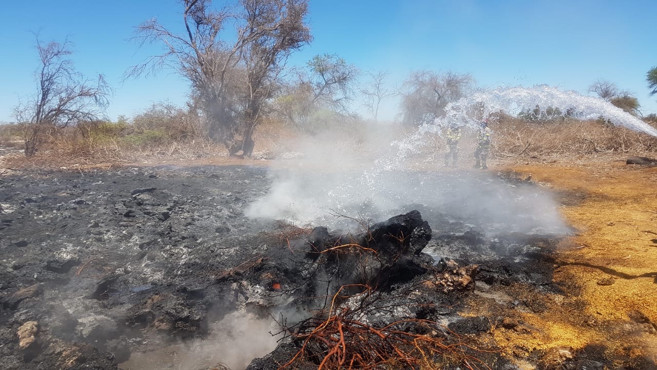 CONAF interpuso querella por incendio forestal de Reserva Nacional Pampa del Tamarugal