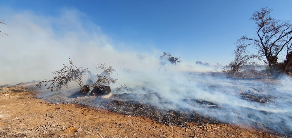 Declaran alerta amarilla por incendio forestal que afecta a la Reserva Nacional Pampa del Tamarugal