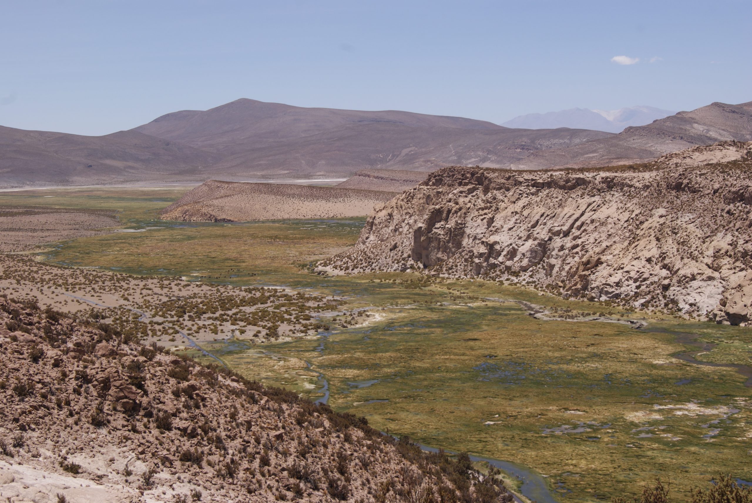 Áreas silvestres protegidas de la región reabiertas a visitantes
