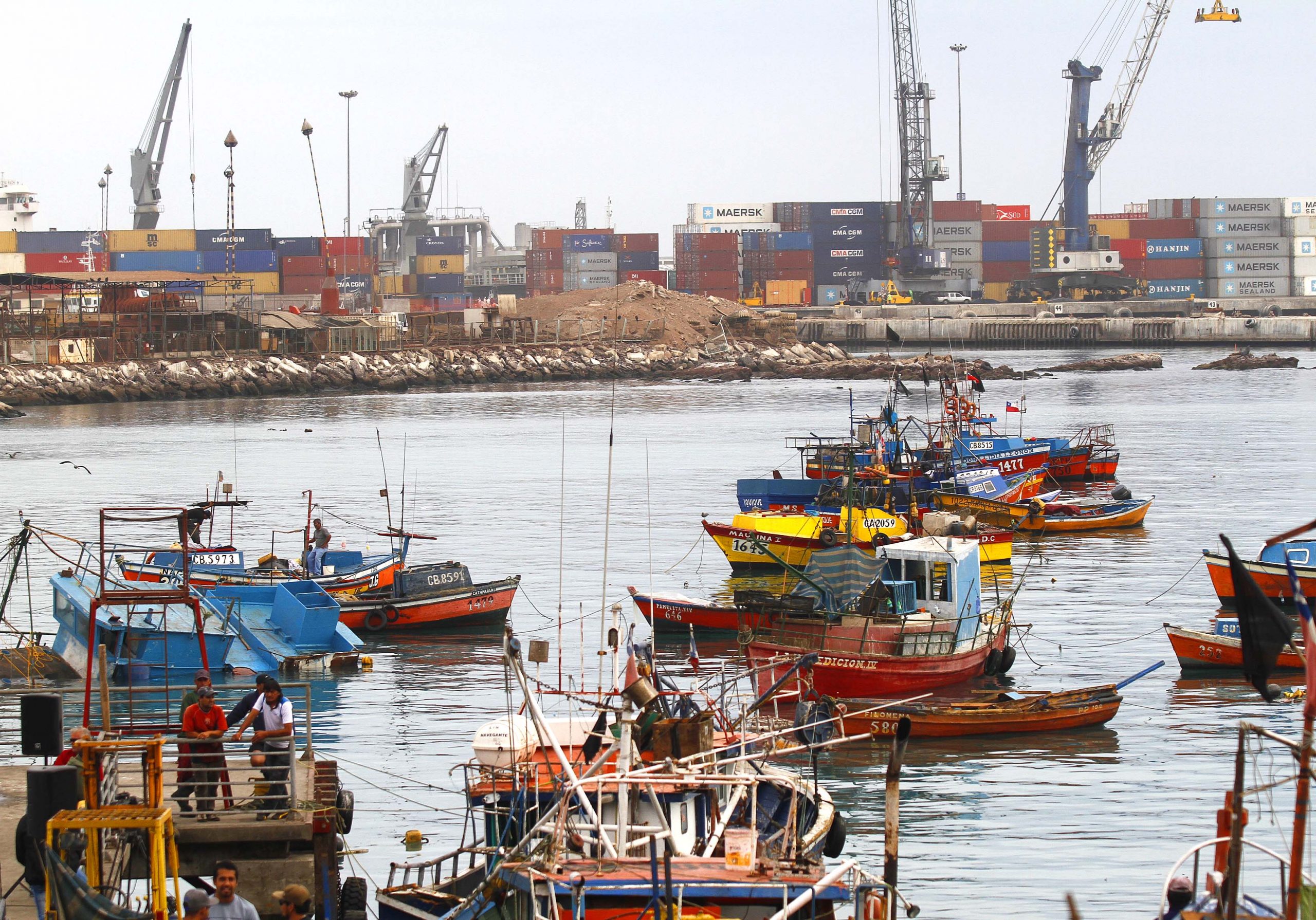 Aporte de $610 millones para pescadores artesanales de Tarapacá