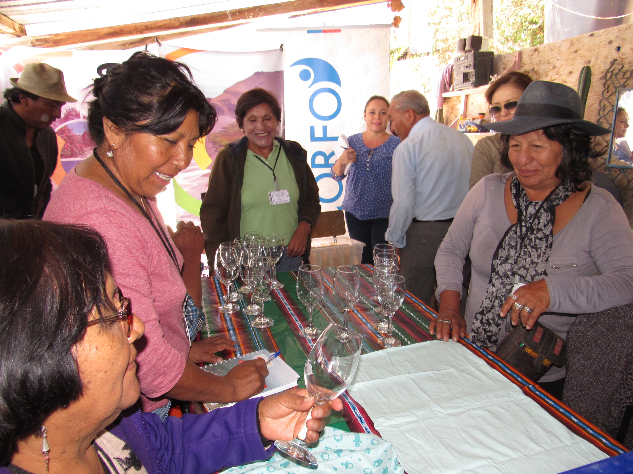 Corfo aporta en la reactivación de las emprendedoras de Parinacota