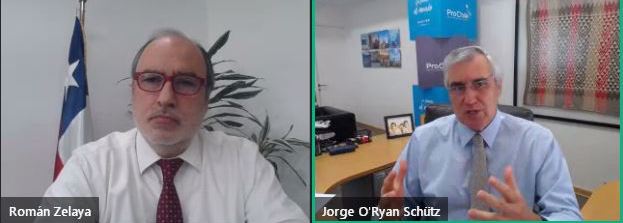 ProChile destaca aporte de exportaciones de pesca y acuicultura a la reactivación económica