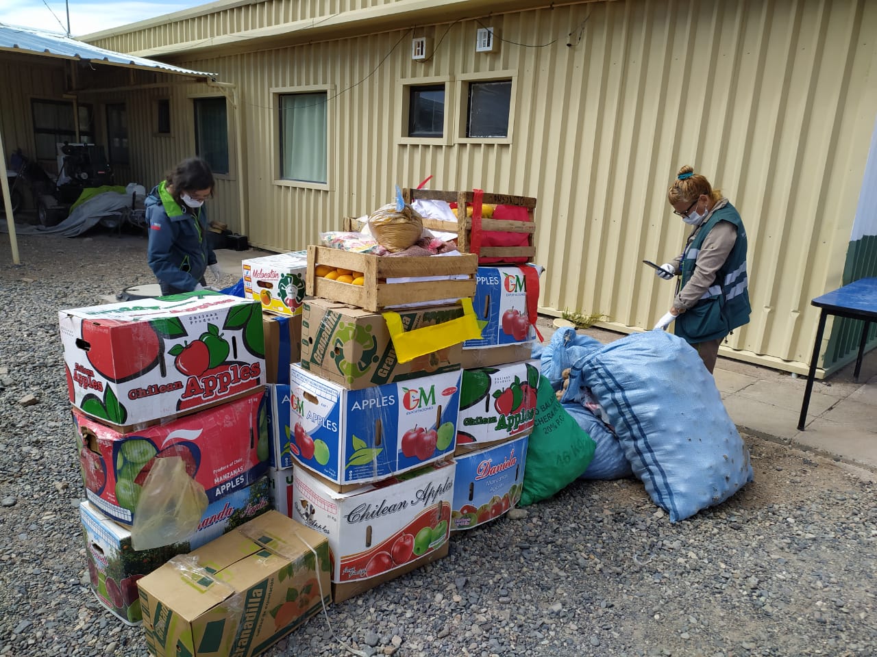 Nuevo decomiso: Interceptan 5 toneladas de productos agropecuarios en Huara, Camiña y Pica