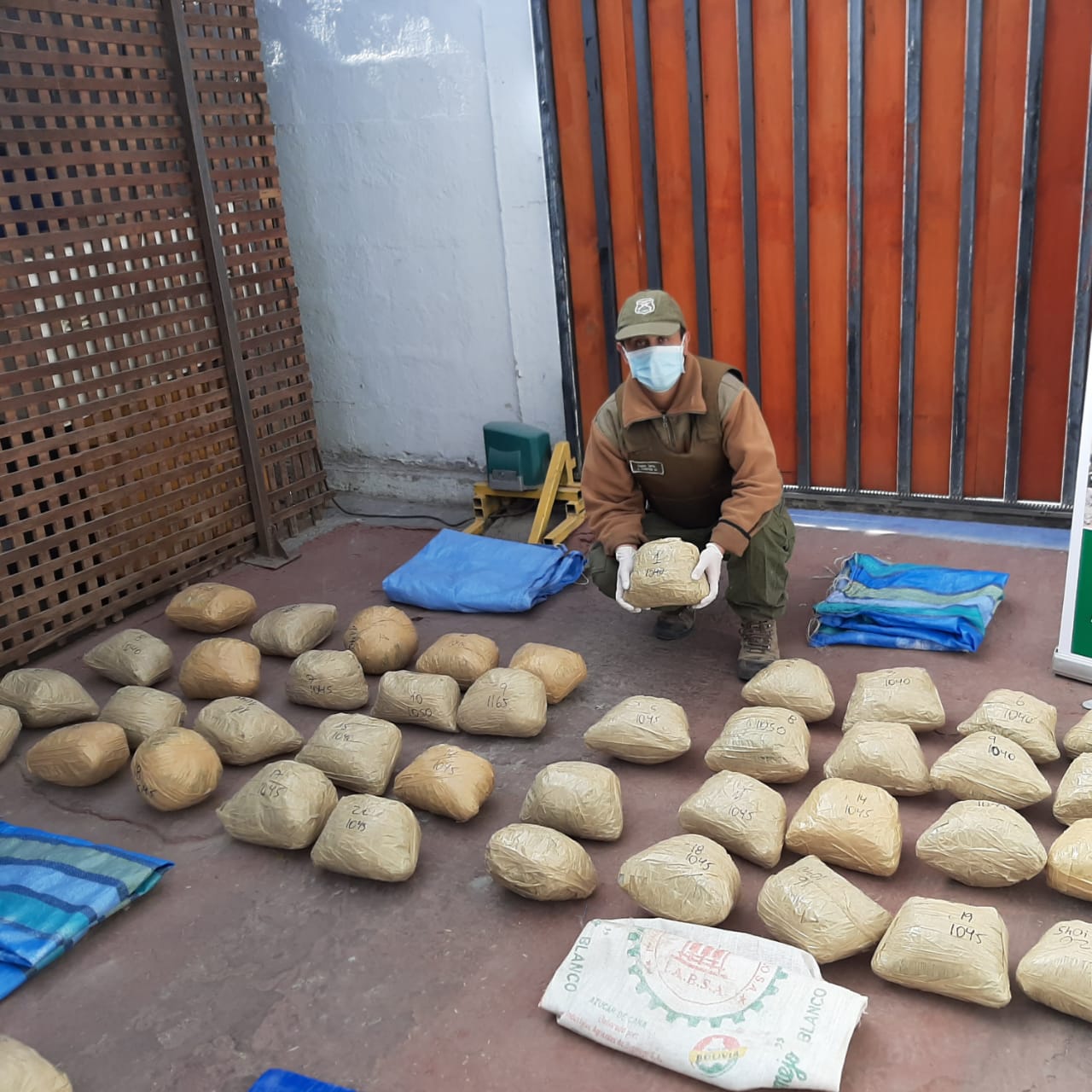 En la frontera Carabineros incautó más de 1.500 millones de pesos en drogas