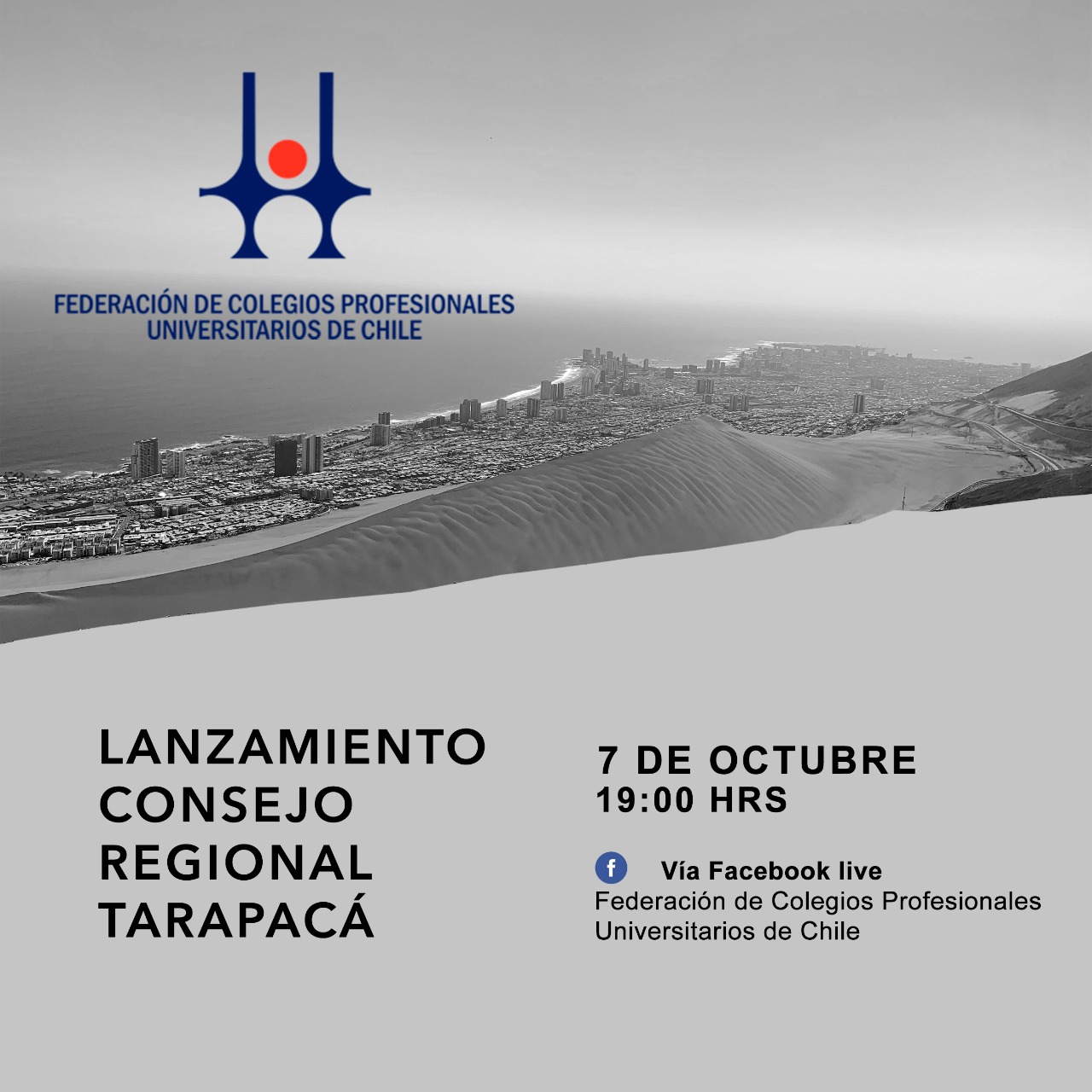 Constituido el Consejo Regional Tarapacá de la Fderación de Colegios Profesionales Universitarios