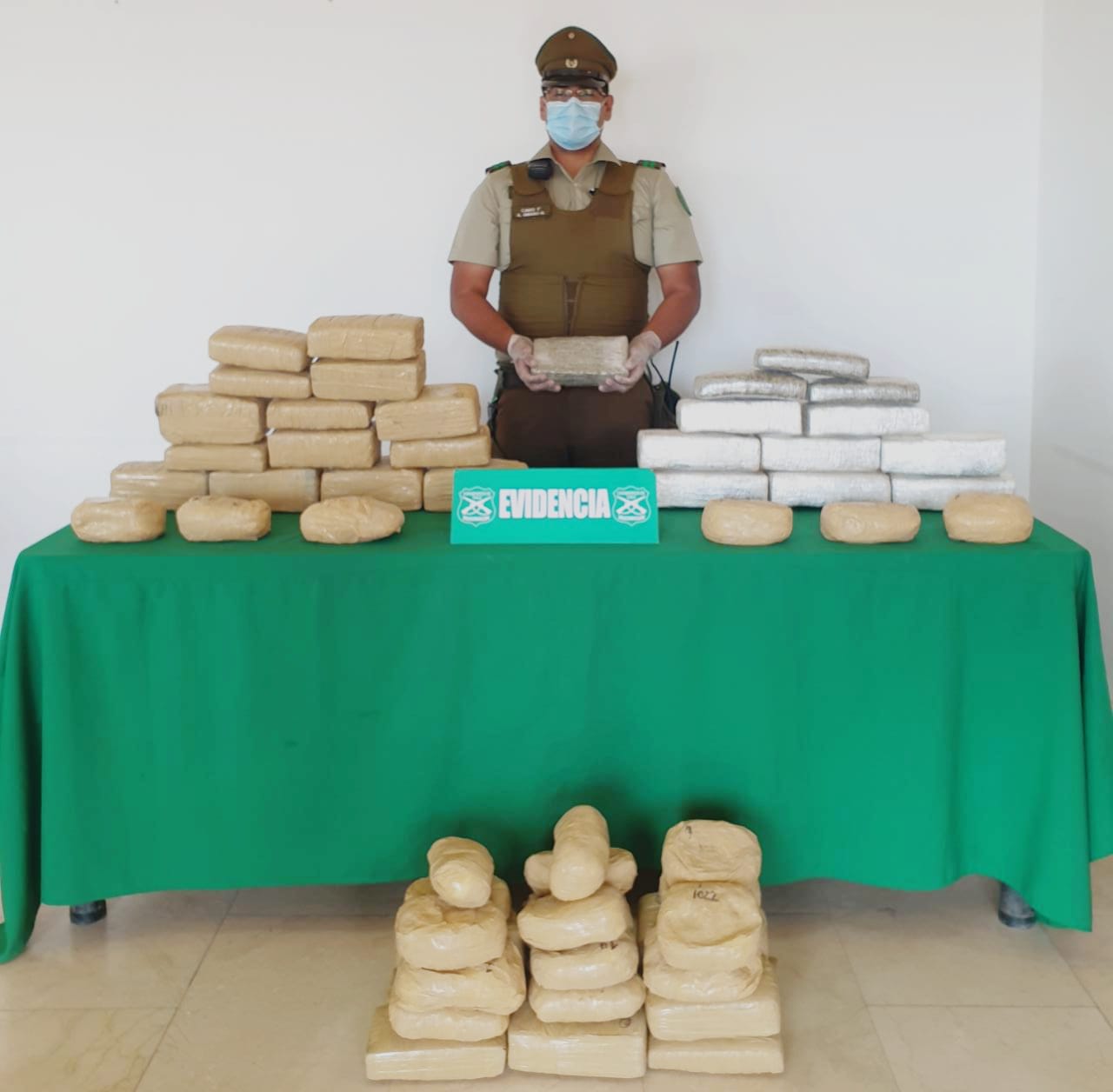 OS-7 y can detector “Eddie” logran incautar 193 mil 470 dosis de cocaína y marihuana