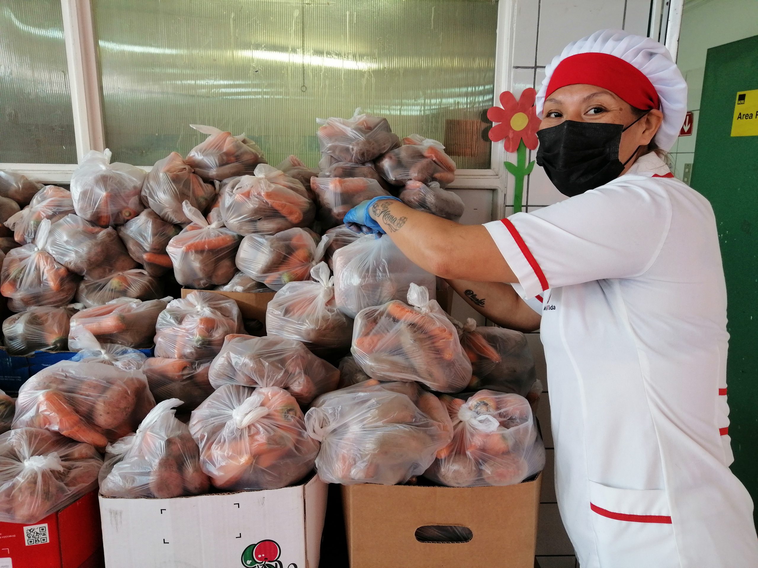 JUNAEB distribuyó 335 mil canastas individuales de alimentación a estudiantes de Tarapacá