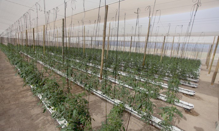 Definen seis ejes clave para primer Laboratorio Natural para la Agricultura en el Desierto