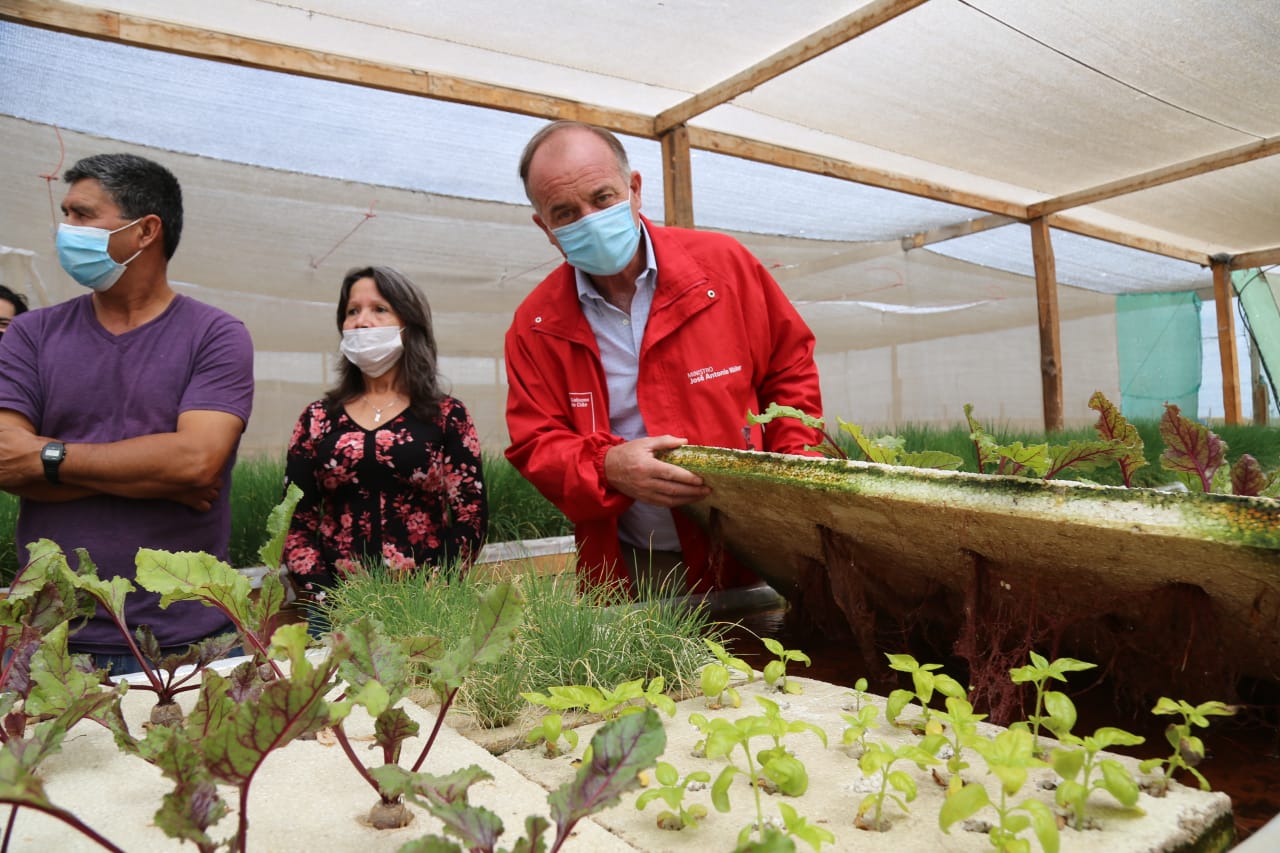 Ministerios regularizan primer proyecto de agricultura en comuna de Mejillones