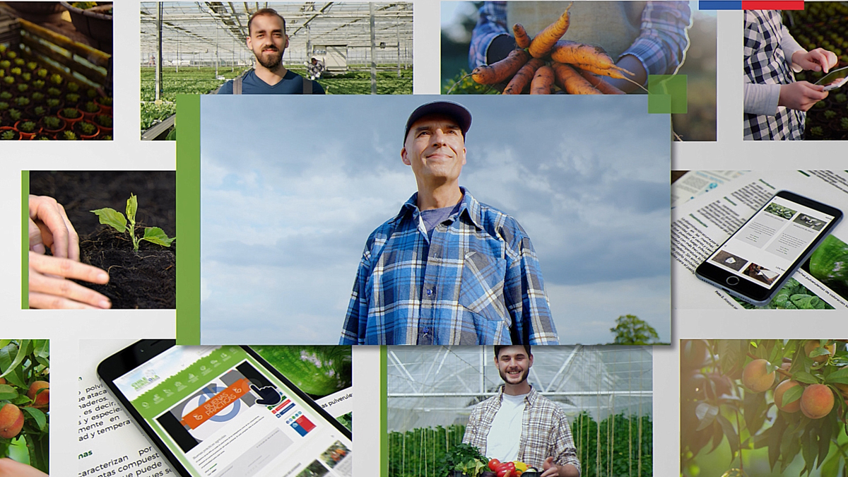 Agricultura sustentable es lo más consultado en nueva plataforma de contenidos gratuitos chileagricola.cl